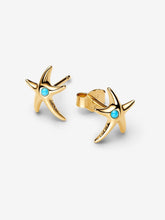 Starfish - Gold - Pandora Earrings