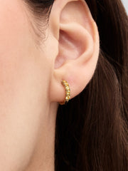 Yellow Hoop Earrings - Gold - Pandora Earrings