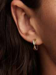 Open Creoles - Two-tone - Pandora Earrings