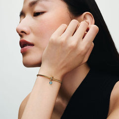 Circle of Eternity - Azure Blue - Gold - Pandora Charms